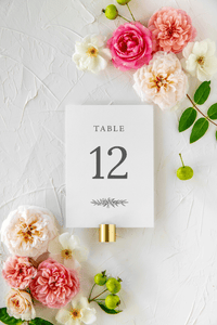 Jana | Table Numbers